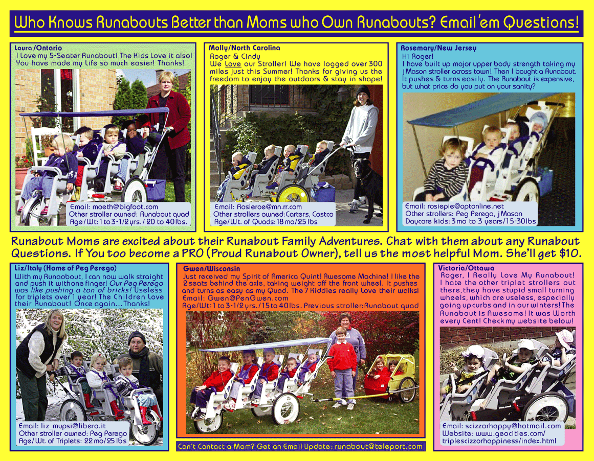 flyer.gif (267665 bytes)